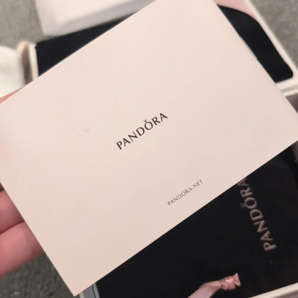 Pandora Cleaning Kit + Polishing Cloth - Picture 14 of 14